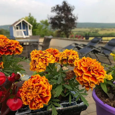 Boutique En-suite Bedroom Cork Проживание в семье *