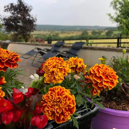 Boutique En-suite Bedroom Cork Проживание в семье Мэллов