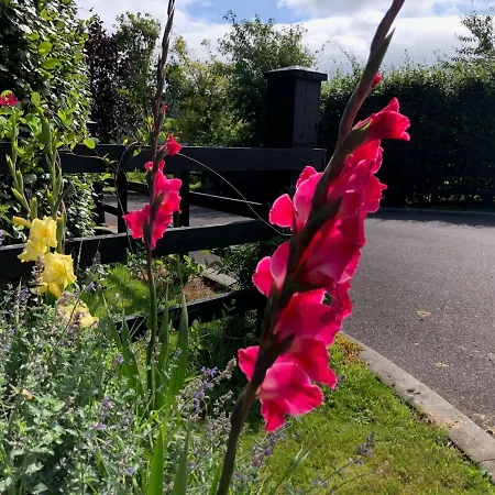 Boutique En-suite Bedroom Cork * Мэллов