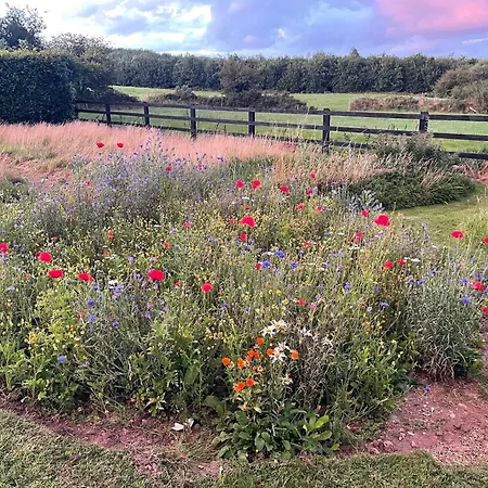 Проживание в семье Boutique En-suite Bedroom Cork