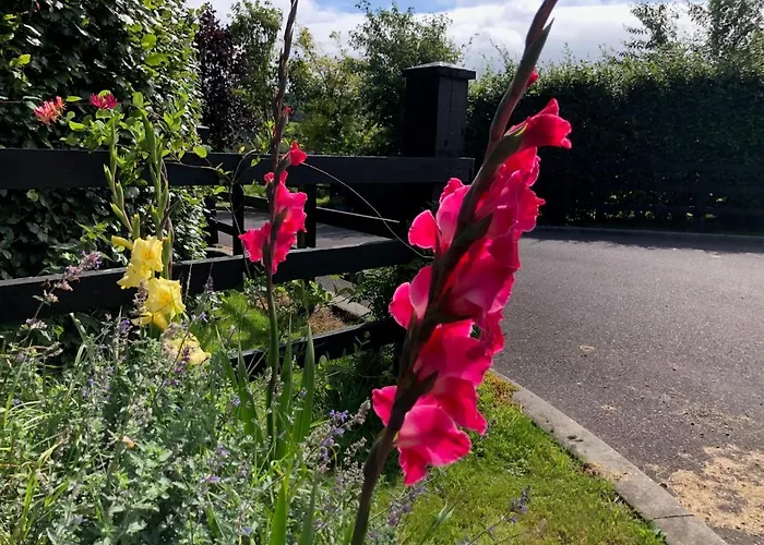 Boutique En-suite Bedroom Cork * Mallow